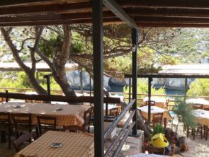 13438859_1113996775305659_434114497579699223_n