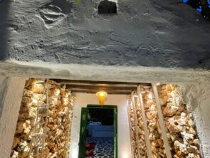 WhatsApp Image 2022-06-30 at 13.40.47